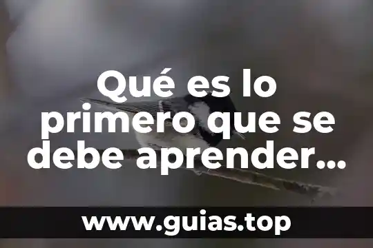 Qué es el concepto de equilibrio 6 Qué es lo primero que se debe aprender de inglés