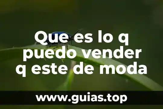 Que es lo q puedo vender q este de moda