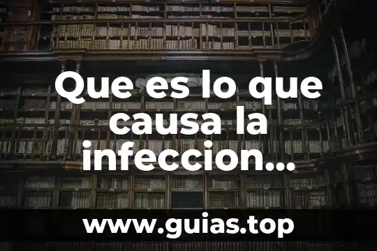 Que es deporte con causa 3 Que es lo que causa la infeccion urinaria en niños