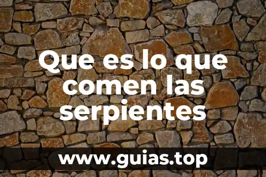 Que es lo que comen los gatos 5 Que es lo que comen las serpientes