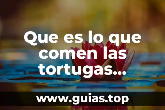 Que es lo que comen las serpientes 4 Que es lo que comen las tortugas marinas