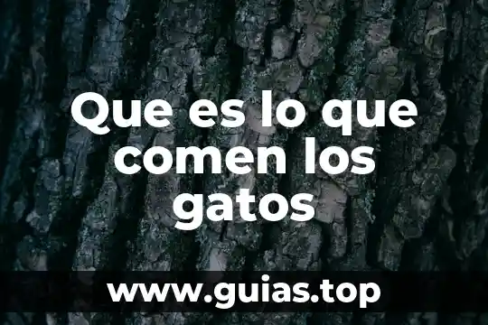 Que es lo que comen las serpientes 5 Que es lo que comen los gatos