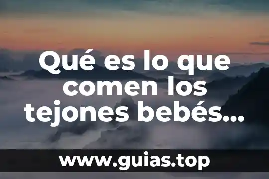 Que es psicologia aparte de ser una ciencia 4 Qué es lo que comen los tejones bebés aparte de leche