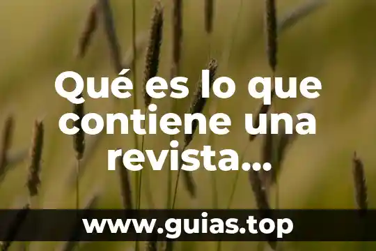 Que contiene el acido que es droga 4 Qué es lo que contiene una revista científica