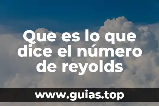 Que es la lejía planta 6 Que es lo que dice el número de reyolds