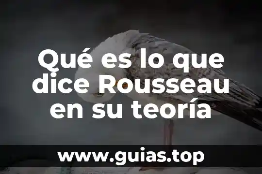 Que es una teoria en una tesis 8 Qué es lo que dice Rousseau en su teoría