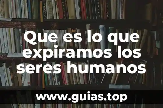 Que es un sistema de protección de los derechos humanos 7 Que es lo que expiramos los seres humanos