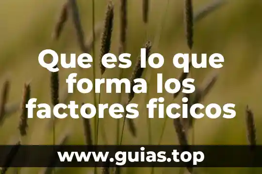 Que es el verbo to be en forma interrogativa 4 Que es lo que forma los factores ficicos