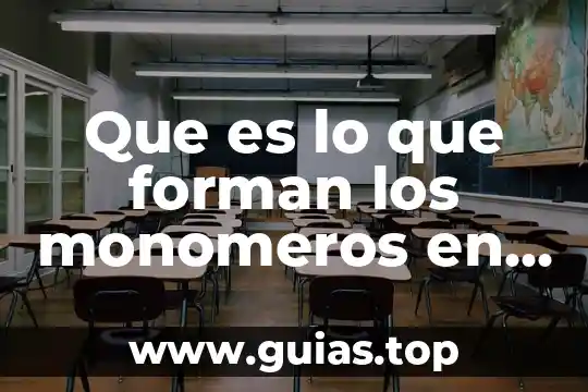 Que es una activista malala 5 Que es lo que forman los monomeros en los carbohidratos