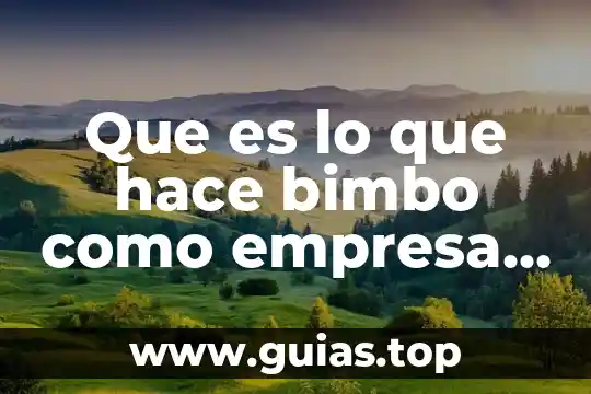 Que es flexible socialmente 3 Que es lo que hace bimbo como empresa socialmente responsable