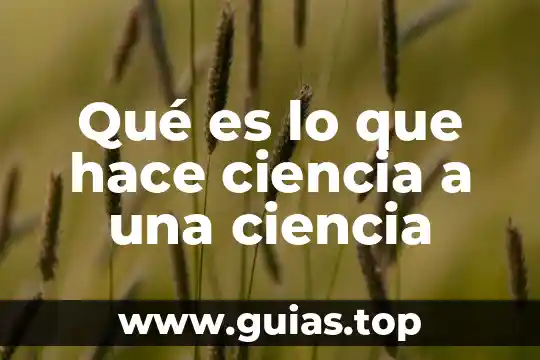 Que es un mapa menas y como se hace 7 Qué es lo que hace ciencia a una ciencia