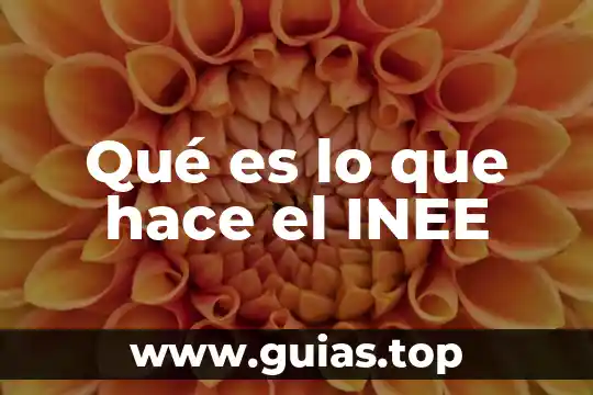 Que es un mapa menas y como se hace 5 Qué es lo que hace el INEE