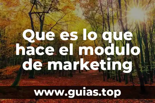 Que es un personaje arquetipo y que hace 5 Que es lo que hace el modulo de marketing