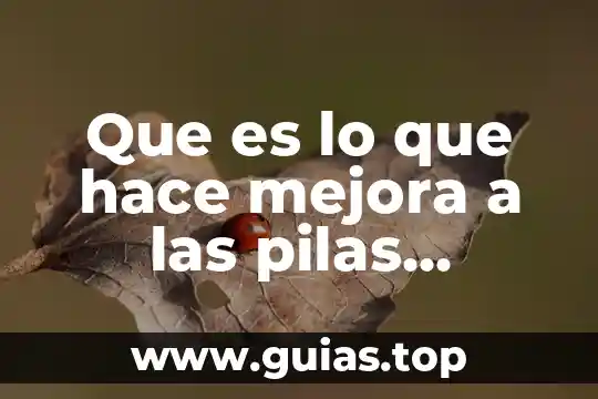 Que es el control de mejora en materia administrativo 5 Que es lo que hace mejora a las pilas duracell