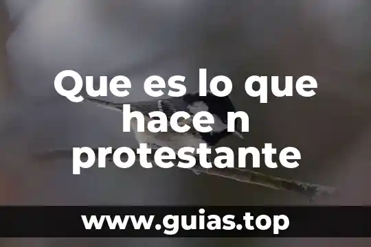 Tesis que es como se hace definircion 4 Que es lo que hace n protestante