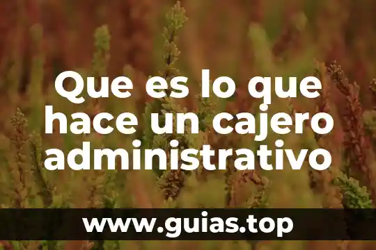 Qué es el DCS definición 8 Que es lo que hace un cajero administrativo