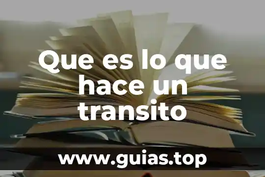 Que es un banderin de transito y que funcion cumple 3 Que es lo que hace un transito
