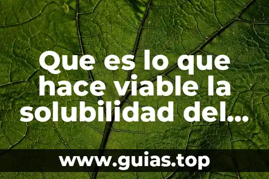 Tesis que es como se hace definircion 8 Que es lo que hace viable la solubilidad del aminoacido
