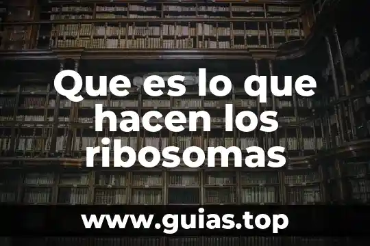 Que es ser comp 6 Que es lo que hacen los ribosomas