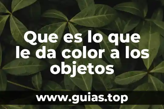 Que es la programacion por objetos 5 Que es lo que le da color a los objetos