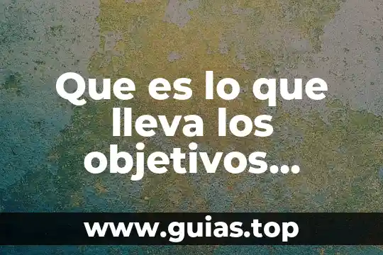 Que es procedimiento global o de mercancías generales 5 Que es lo que lleva los objetivos generales
