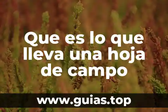 Qué es un animal verde con forma de hoja 7 Que es lo que lleva una hoja de campo