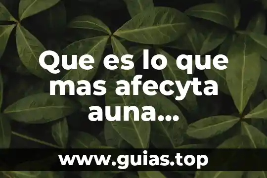Que es mas que nada 5 Que es lo que mas afecyta auna pobklñacion