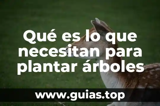 Animal que es muy habil para trepar a los arboles 3 Qué es lo que necesitan para plantar árboles