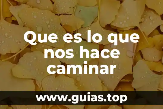 Que es un personaje arquetipo y que hace 8 Que es lo que nos hace caminar