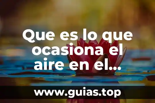 Que es ambiente escolar inclusivo 8 Que es lo que ocasiona el aire en el ambiente