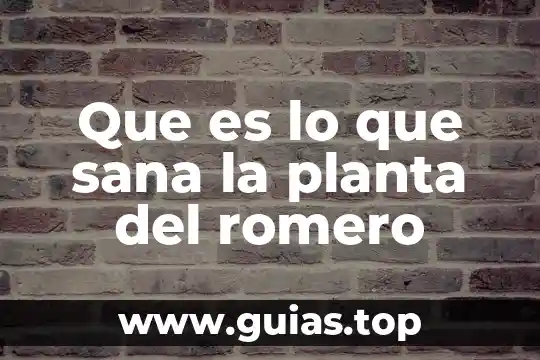 Que es una relación familiar sana 6 Que es lo que sana la planta del romero