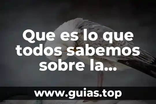Como sabemos que es un sudconjunto 4 Que es lo que todos sabemos sobre la materia derecho