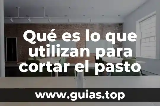 Qué es rocoso definición 5 Qué es lo que utilizan para cortar el pasto