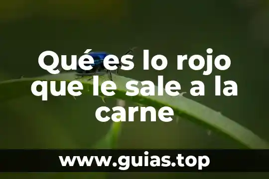 Que es cuando defecas y te sale sangre 7 Qué es lo rojo que le sale a la carne