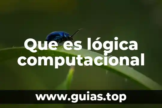 Qué es el programa computacional método simplex 7 Que es lógica computacional