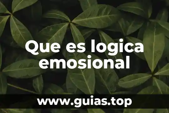 Que es una construcción lógica 5 Que es logica emosional