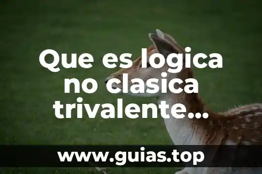 Que es una construcción lógica 4 Que es logica no clasica trivalente ejemplos