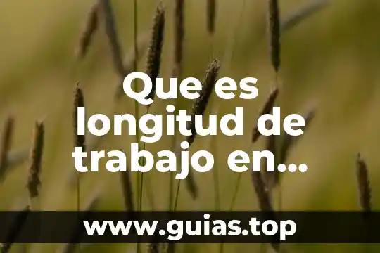 Que es un leyaut estudio del trabajo 5 Que es longitud de trabajo en endodoncia