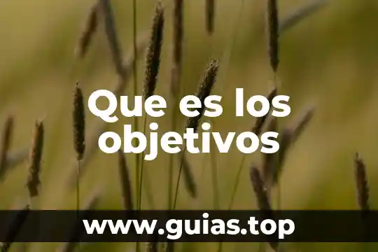 Qué es estandarización psicología 8 Que es los objetivos