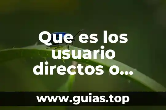 Que es espacio de color cie lab 4 Que es los usuario directos o beneficiario