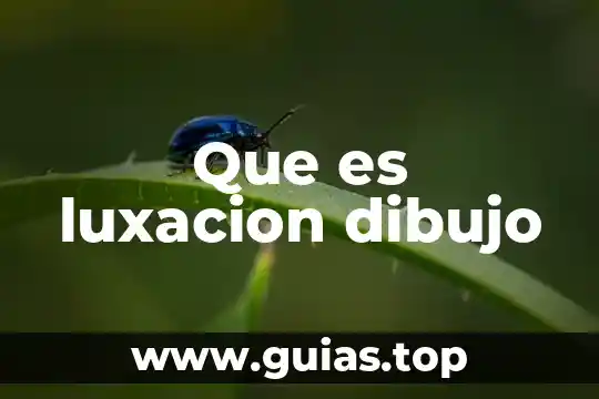 Que es dibujo y tipos de dibujo 3 Que es luxacion dibujo