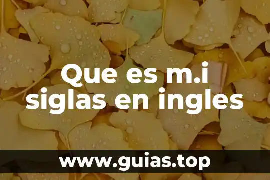 Concepto de que es lo bueno 4 Que es m.i siglas en ingles