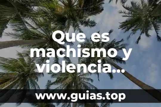 Qué es el machismo y tipos 3 Que es machismo y violencia contra las mujeres