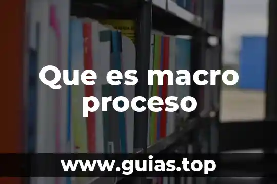 Que es macro proceso