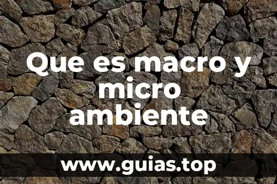 Que es macro y micro ambiente