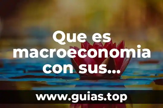 Lógica aristotélica que es 4 Que es macroeconomia con sus palabras