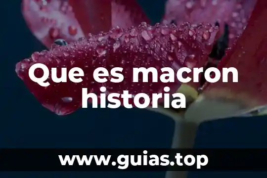Que es la historia de la ciudad 6 Que es macron historia