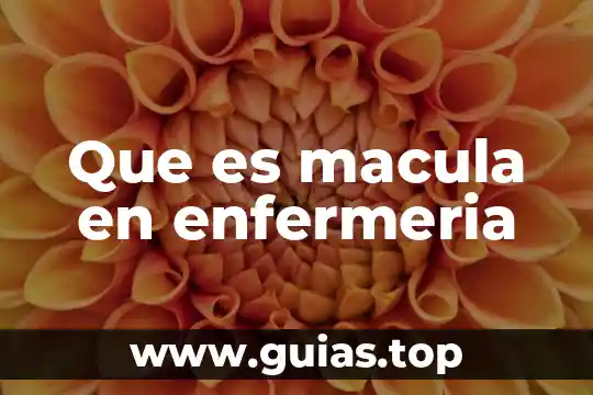Qué es una clase concepto enfermeria 5 Que es macula en enfermeria