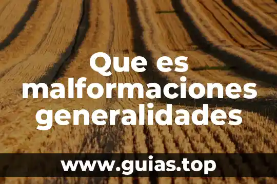 Qué es la psicopatología estructuras 4 Que es malformaciones generalidades