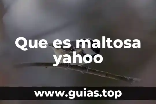 Que es el pensamiento visual yahoo 3 Que es maltosa yahoo